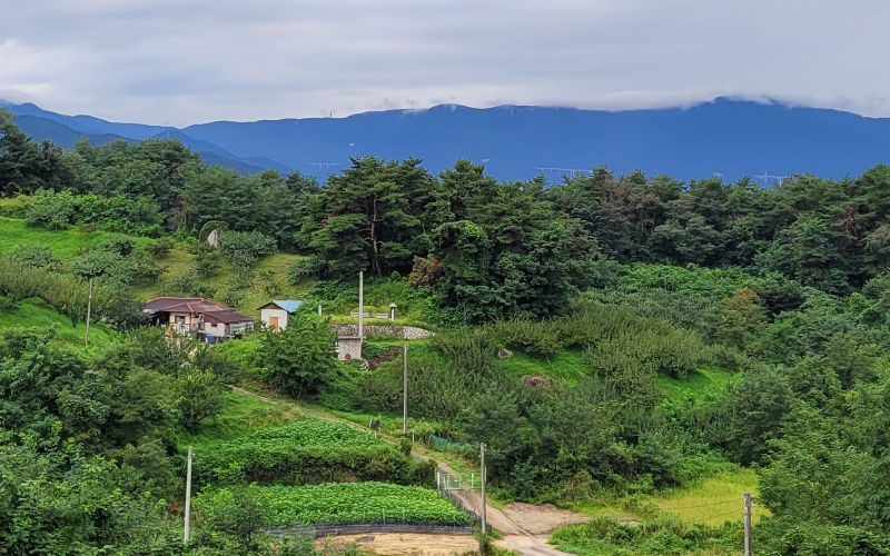 잠수교